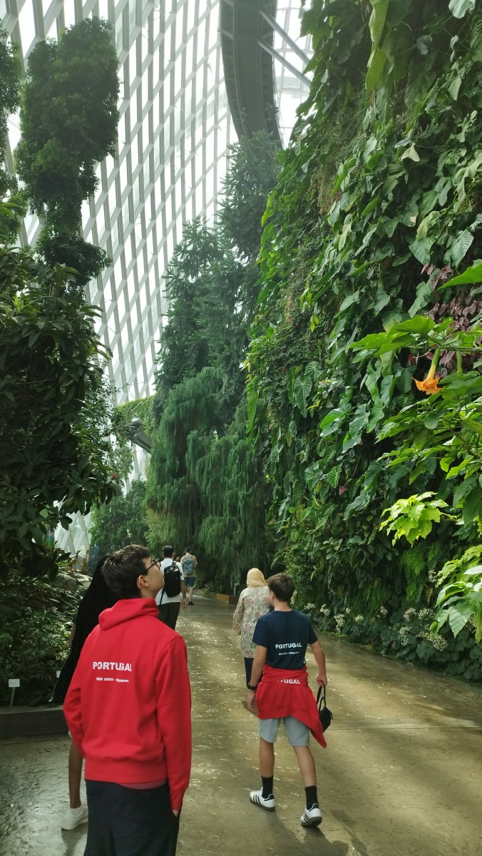 Olimpíadas Mundiais de Robótica (2025)