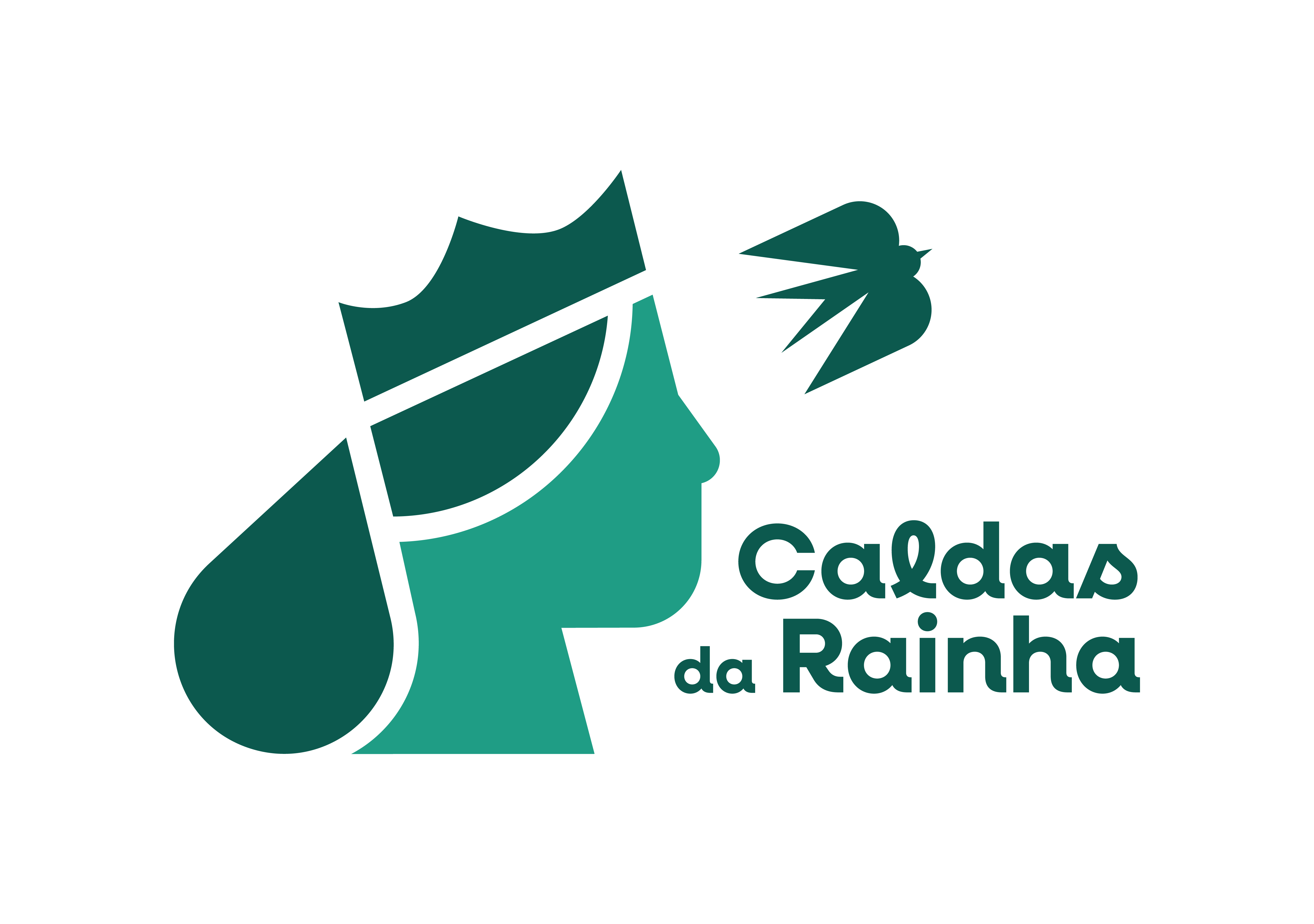 Câmara Municipal das Caldas da Rainha